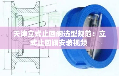 天津立式止回阀选型规范：立式止回阀安装视频 