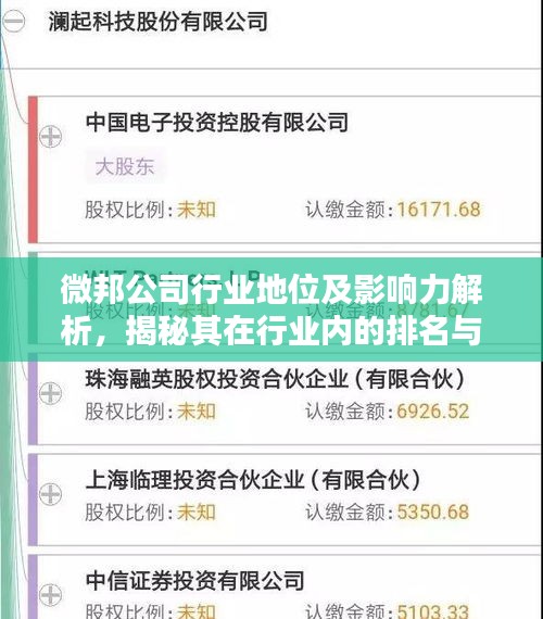 微邦公司行业地位及影响力解析，揭秘其在行业内的排名与影响力