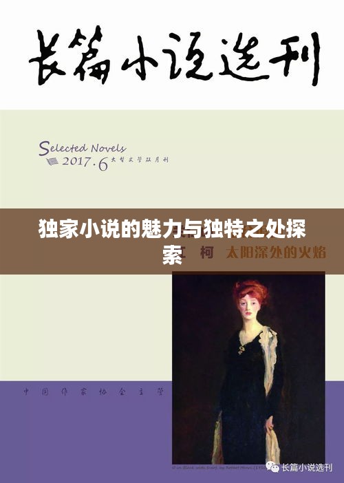 独家小说的魅力与独特之处探索