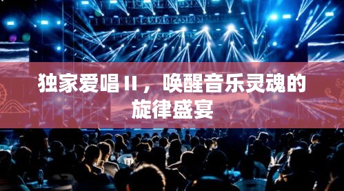 独家爱唱Ⅱ,唤醒音乐灵魂的旋律盛宴
