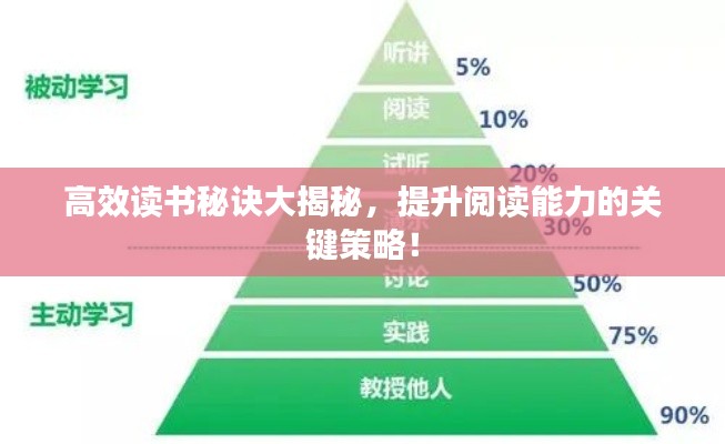 高效读书秘诀大揭秘,提升阅读能力的关键策略!