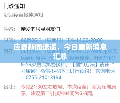 应县新闻速递,今日最新消息汇总