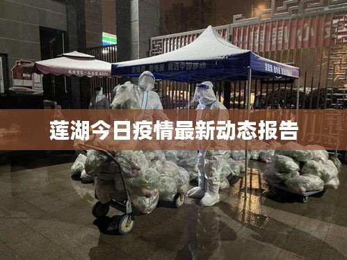 莲湖今日疫情最新动态报告