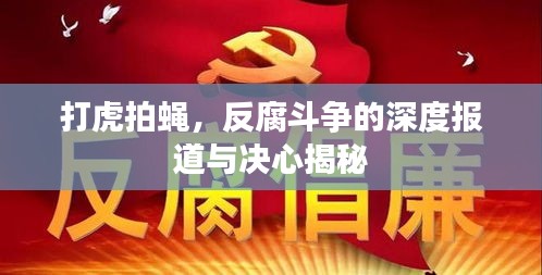 打虎拍蝇，反腐斗争的深度报道与决心揭秘