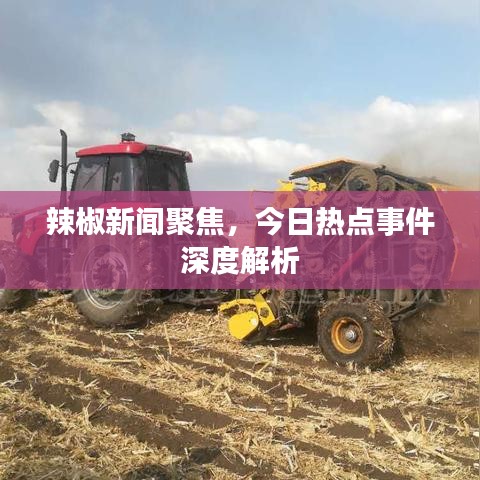 辣椒新闻聚焦,今日热点事件深度解析