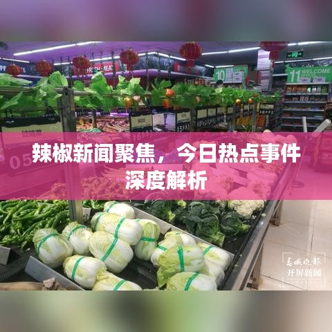 辣椒新闻聚焦,今日热点事件深度解析
