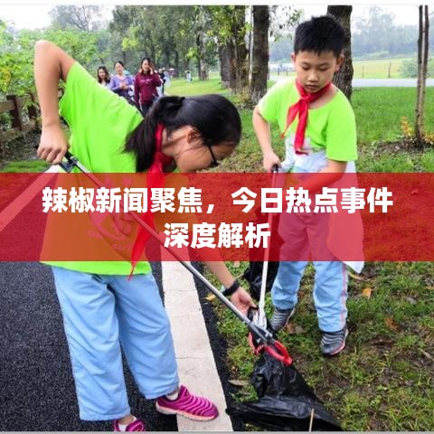 辣椒新闻聚焦,今日热点事件深度解析