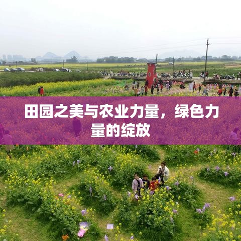 田园之美与农业力量,绿色力量的绽放