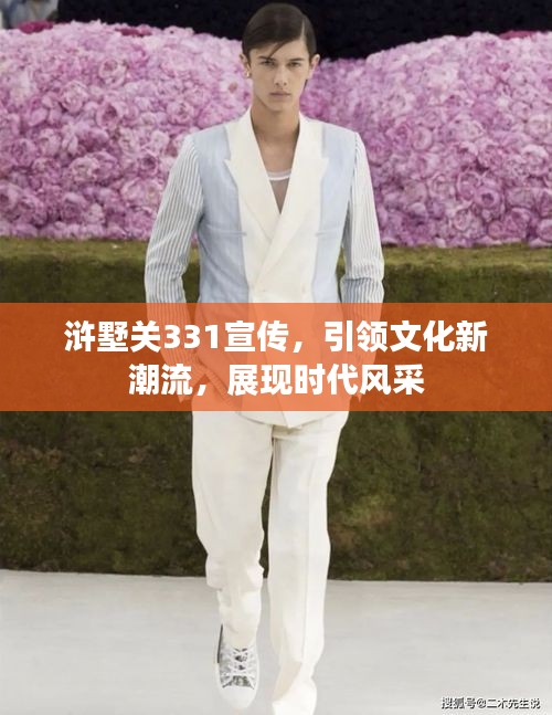 浒墅关331宣传,引领文化新潮流,展现时代风采
