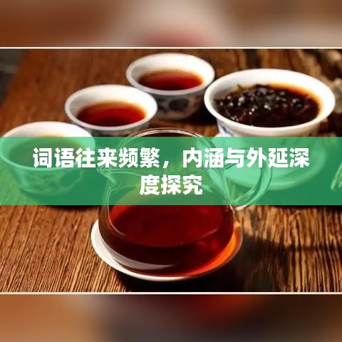 词语往来频繁，内涵与外延深度探究