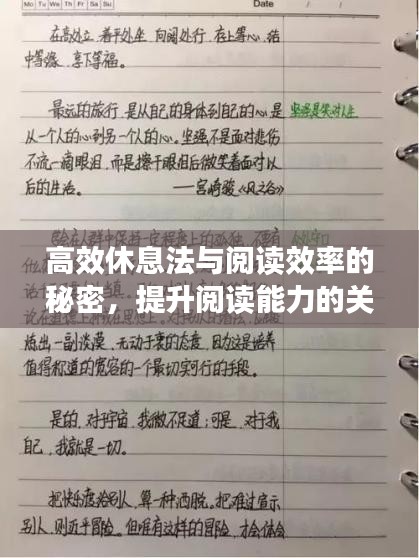 高效休息法与阅读效率的秘密,提升阅读能力的关键武器