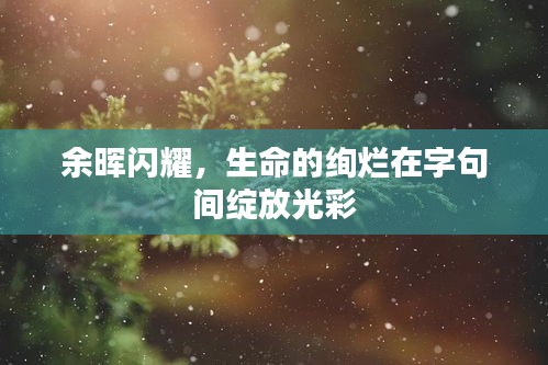余晖闪耀，生命的绚烂在字句间绽放光彩