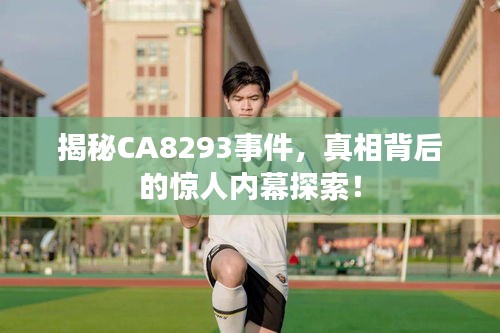 揭秘CA8293事件,真相背后的惊人内幕探索!