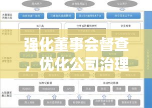 强化董事会督查,优化公司治理,高效机制构建之路
