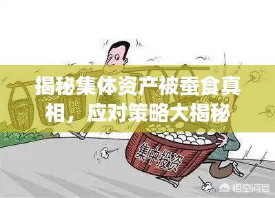 晋惠闻蛙 第3页