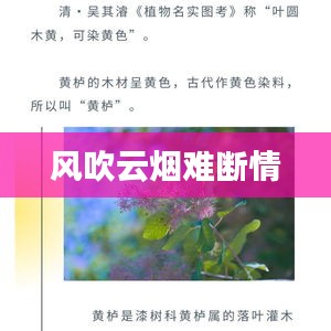 风吹云烟难断情