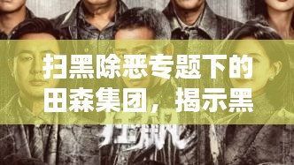 扫黑除恶专题下的田森集团，揭示黑暗势力背后的真相，正义之光照亮真相之路