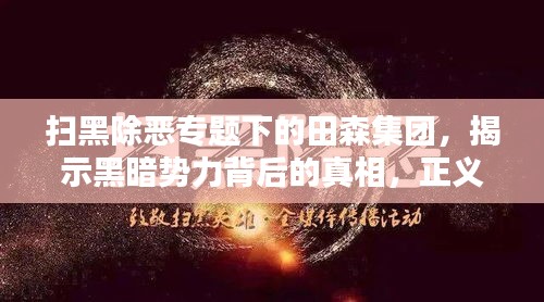 扫黑除恶专题下的田森集团,揭示黑暗势力背后的真相,正义之光照亮真相之路