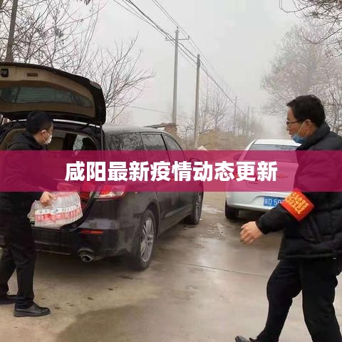 咸阳最新疫情动态更新