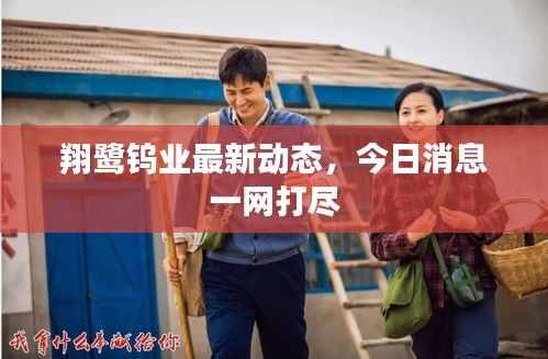 翔鹭钨业最新动态,今日消息一网打尽