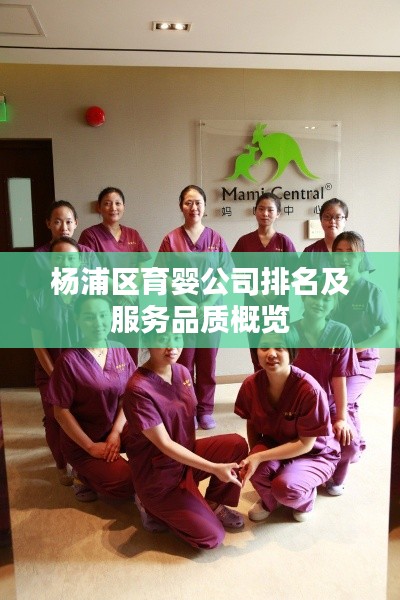 杨浦区育婴公司排名及服务品质概览