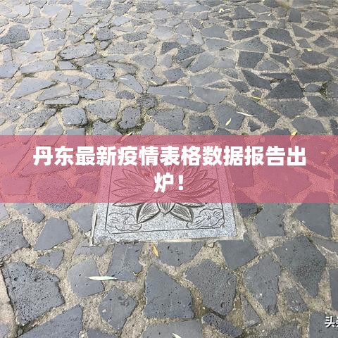 丹东最新疫情表格数据报告出炉!
