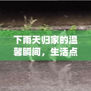 下雨天归家的温馨瞬间,生活点滴感悟分享