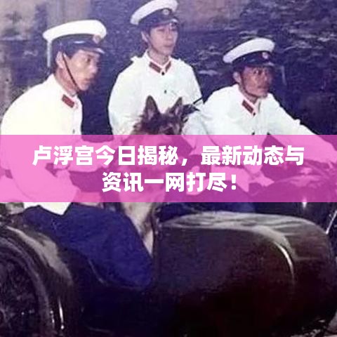 卢浮宫今日揭秘,最新动态与资讯一网打尽!