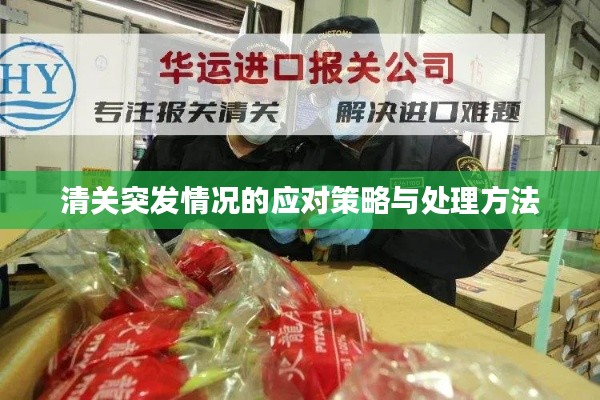 清关突发情况的应对策略与处理方法