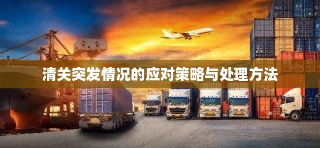 清关突发情况的应对策略与处理方法