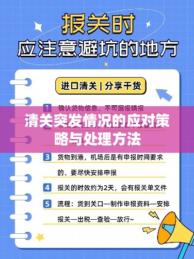 清关突发情况的应对策略与处理方法