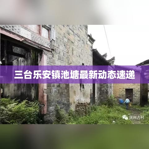 三台乐安镇池塘最新动态速递