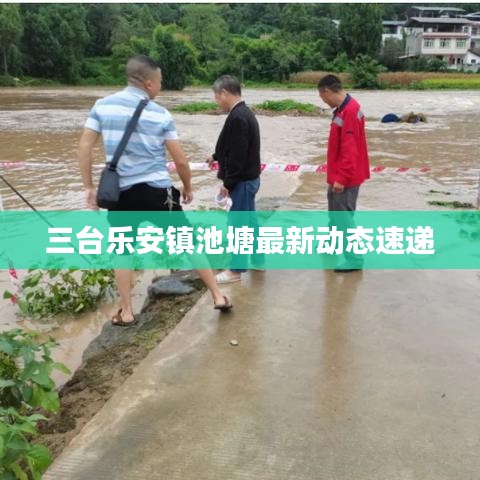 三台乐安镇池塘最新动态速递