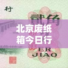 北京废纸箱今日行情分析与最新报价速递