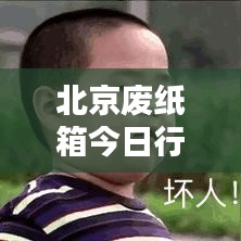 北京废纸箱今日行情分析与最新报价速递