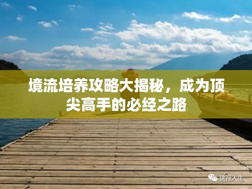 境流培养攻略大揭秘,成为顶尖高手的必经之路