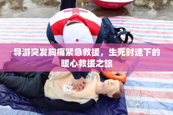 导游突发胸痛紧急救援,生死时速下的暖心救援之旅