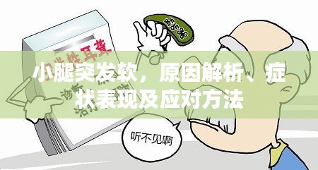 小腿突发软,原因解析、症状表现及应对方法