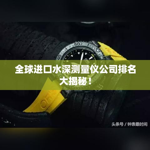 全球进口水深测量仪公司排名大揭秘！