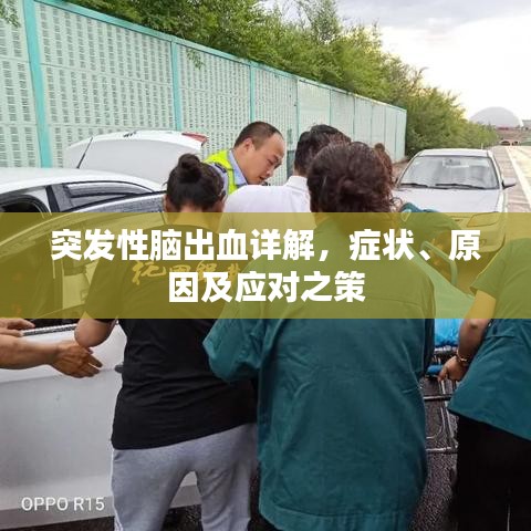 突发性脑出血详解,症状、原因及应对之策