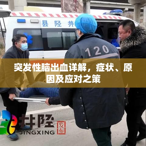 突发性脑出血详解,症状、原因及应对之策