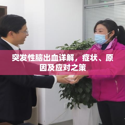 突发性脑出血详解,症状、原因及应对之策
