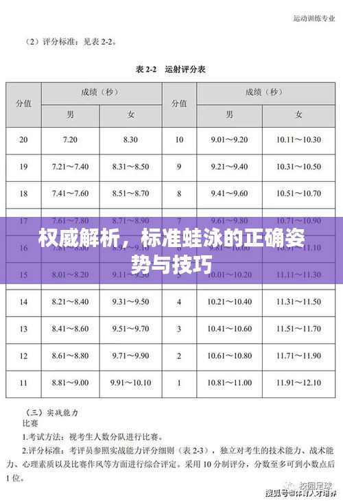 权威解析,标准蛙泳的正确姿势与技巧