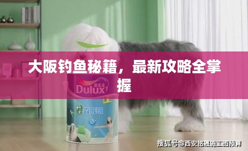 大阪钓鱼秘籍,最新攻略全掌握