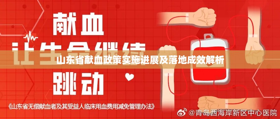 山东省献血政策实施进展及落地成效解析