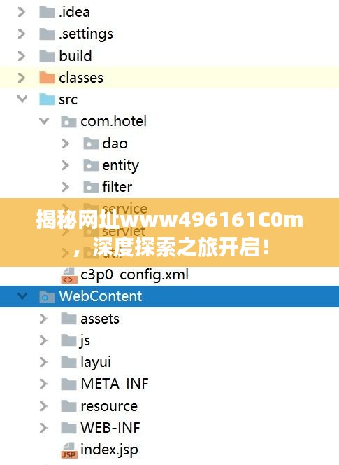 揭秘网址www496161C0m，深度探索之旅开启！