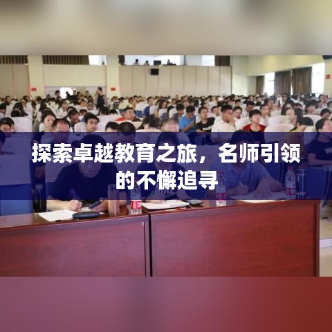 探索卓越教育之旅,名师引领的不懈追寻