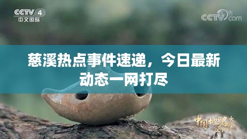 慈溪热点事件速递,今日最新动态一网打尽