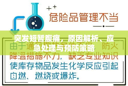 突发短暂腹痛,原因解析、应急处理与预防策略