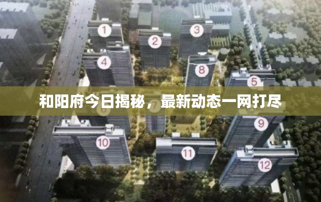 和阳府今日揭秘，最新动态一网打尽